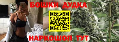 apvp Заводоуковск